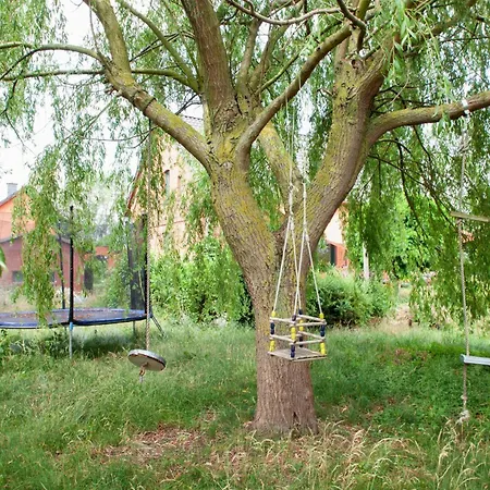 بيت للعطل Idyllic Between Fields And Elbe Dyke Eickerhoefe
