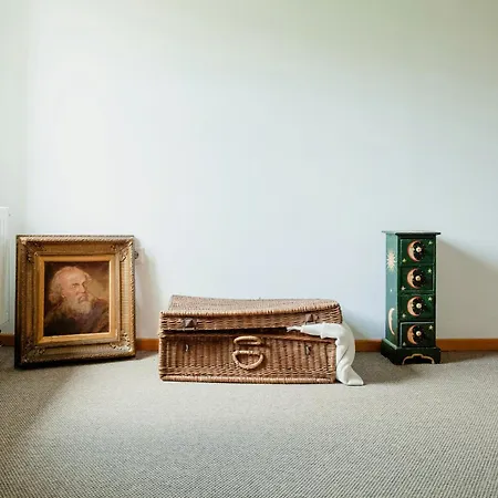 Idyllic Between Fields And Elbe Dyke