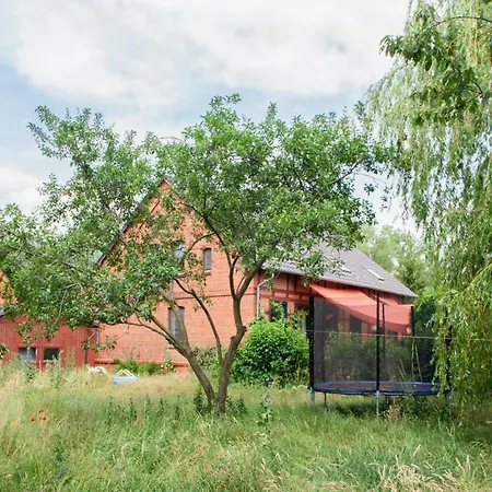Idyllic Between Fields And Elbe Dyke Eickerhoefe