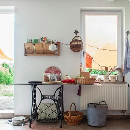 Idyllic Between Fields And Elbe Dyke