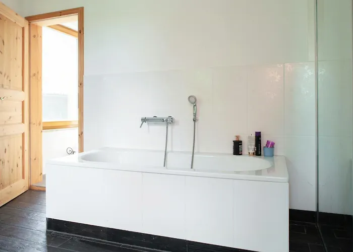 Idyllic Between Fields And Elbe Dyke *