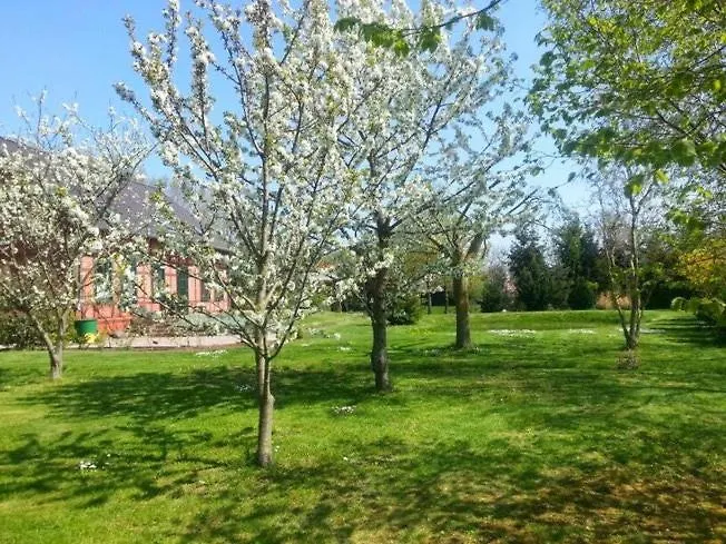Ferienhaus Idyllic Between Fields And Elbe Dyke *