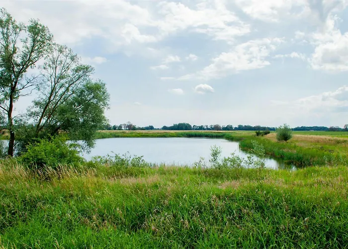 Ferienhaus Idyllic Between Fields And Elbe Dyke Eickerhoefe