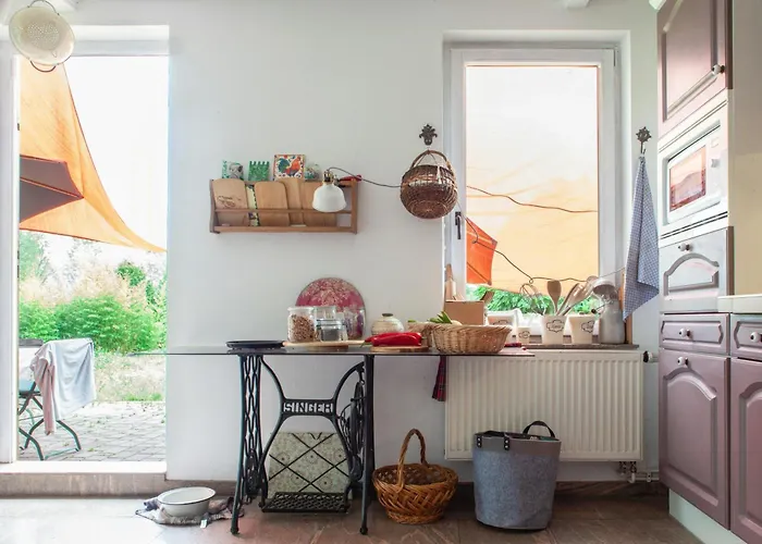 Idyllic Between Fields And Elbe Dyke